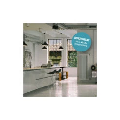 Bio-Chem Allzweckreiniger 1000 Ml Ohne Spr&uuml;hkopf -Fahrradteileladen bio chem allzweckreiniger 1000 ml ohne spruehkopf5