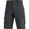 Gore E Shorts Schwarz