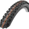 Schwalbe Hans Dampf Addix Evolution